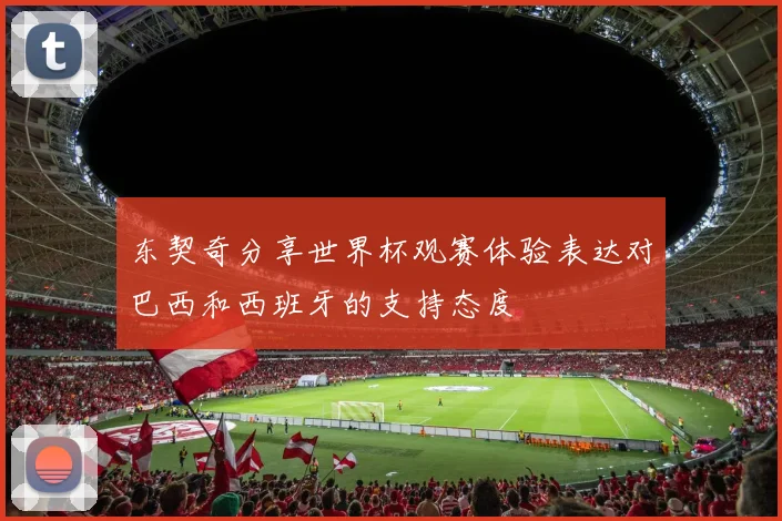 东契奇分享世界杯观赛体验表达对巴西和西班牙的支持态度