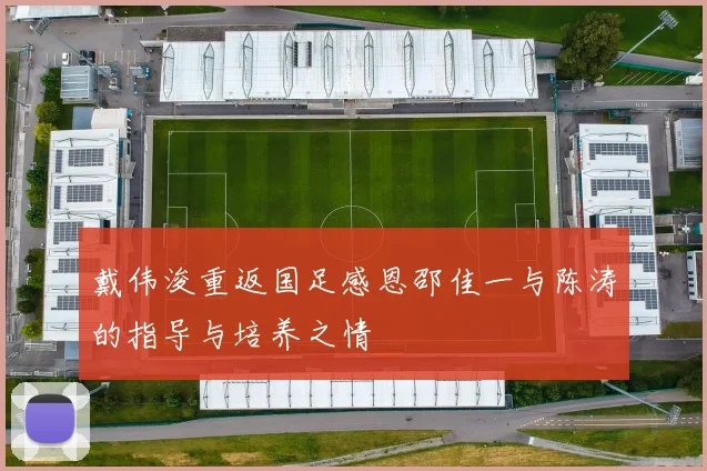 戴伟浚重返国足感恩邵佳一与陈涛的指导与培养之情
